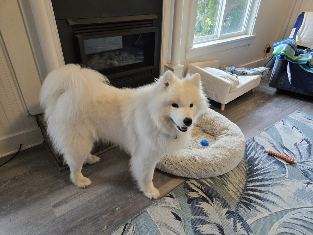 Finley
